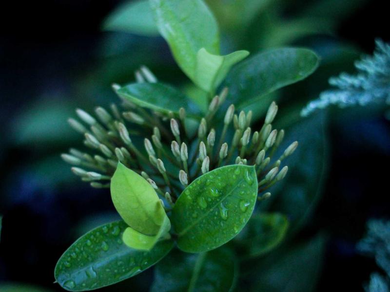 Demystifying Cloud Migration for Enterprises